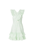 Fay Frill Mini Dress - Floral Mist Mint
