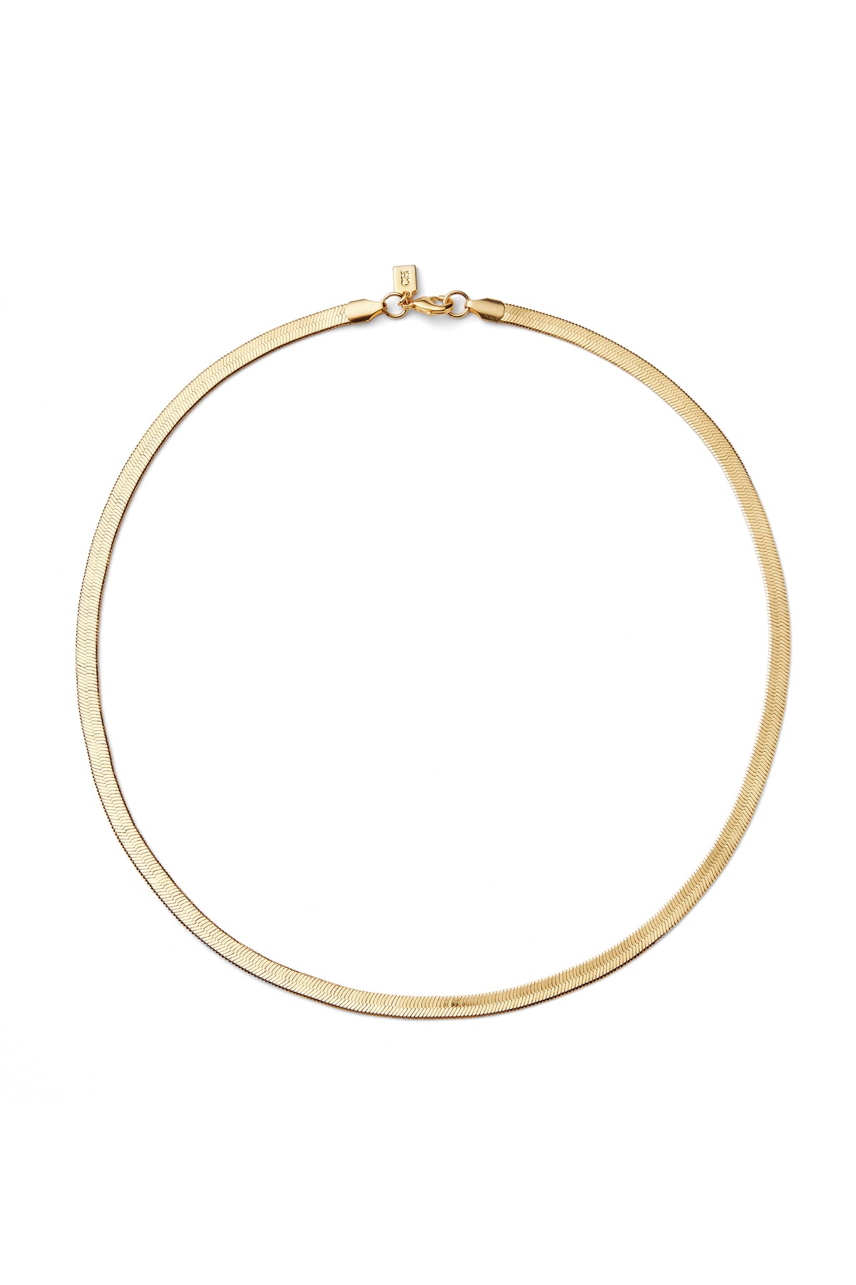 Medusa Chain - Guld