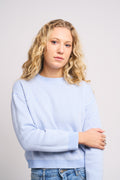 Pull Daisy - Bleu
