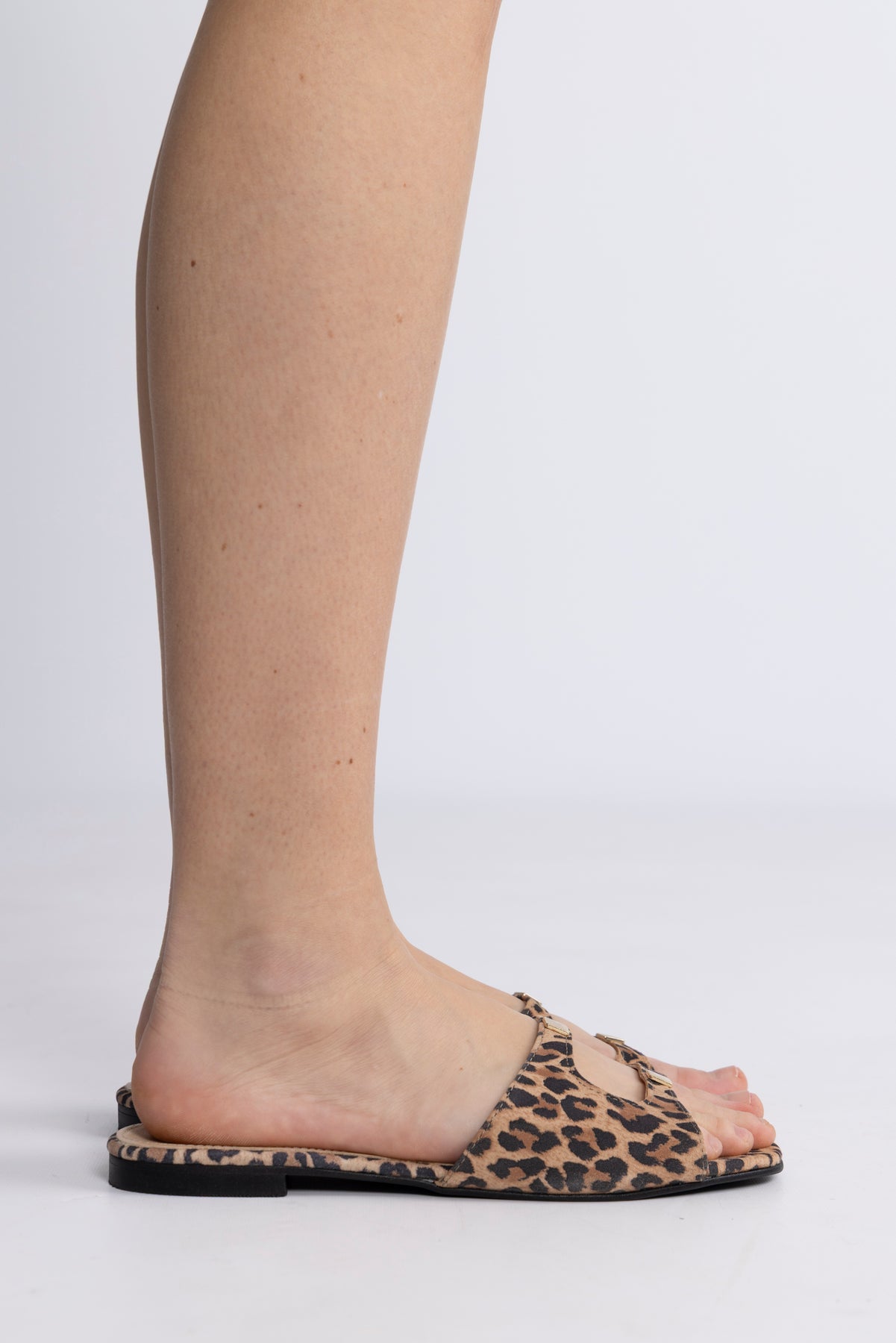 Elina - Leopard