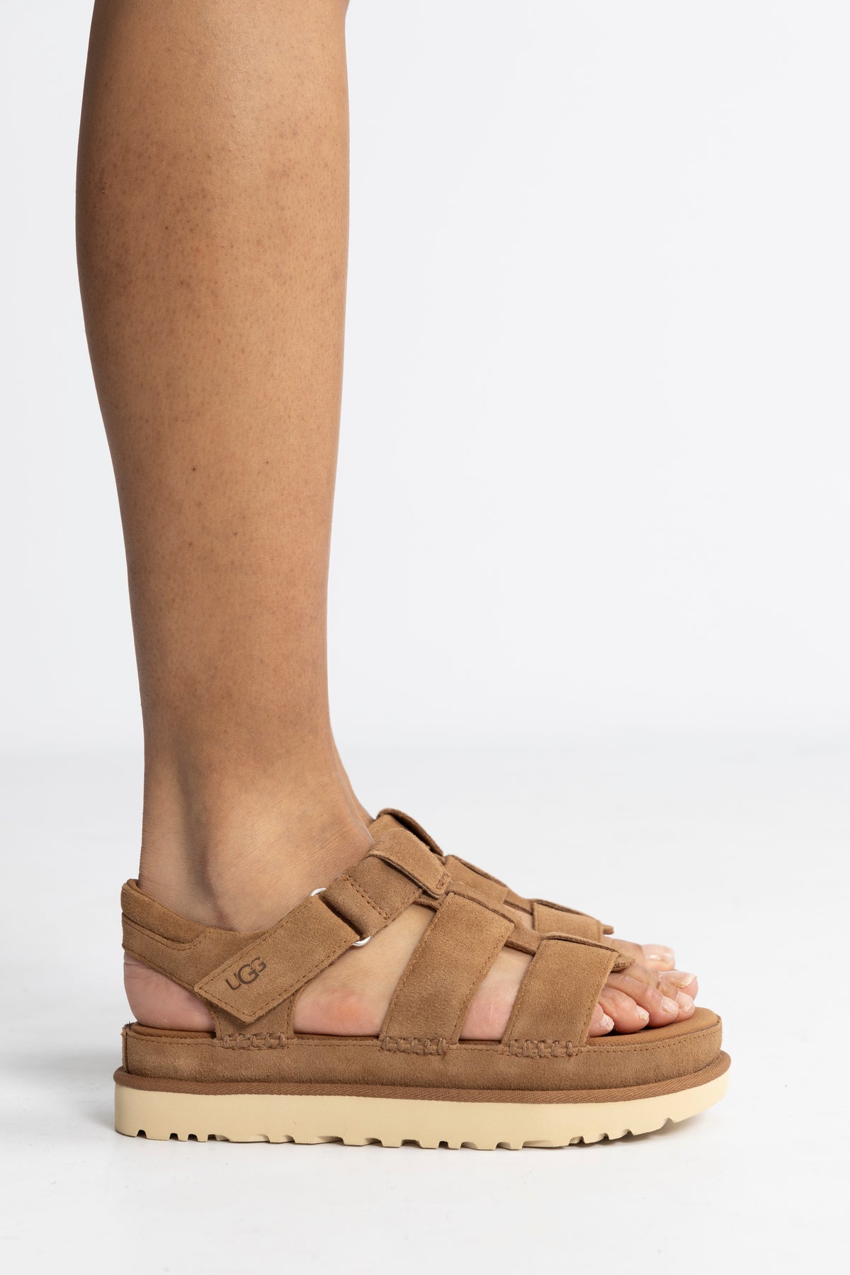 W Goldenstar Strap - Chestnut