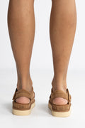 W Goldenstar Strap - Chestnut