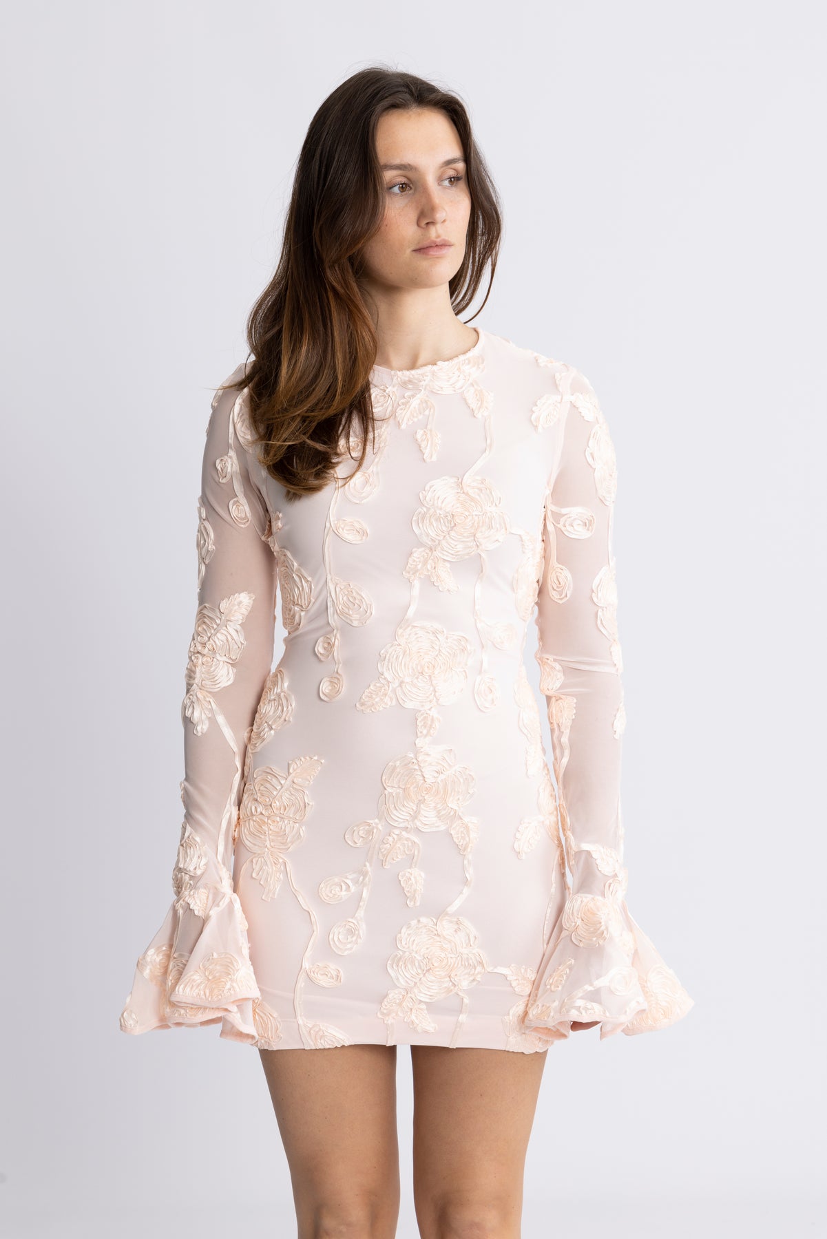 Flower Mesh Mini Dress