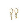 Momi Earrings - Gold