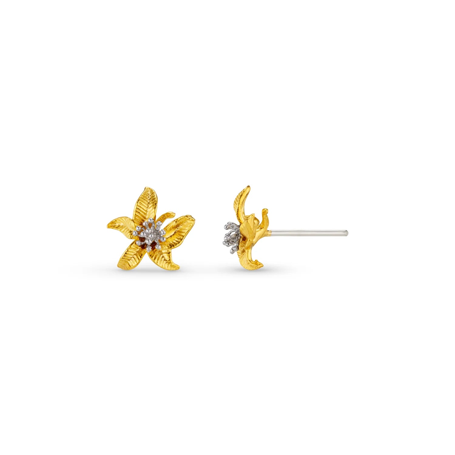 Textured Flower Stud Earring - Gold