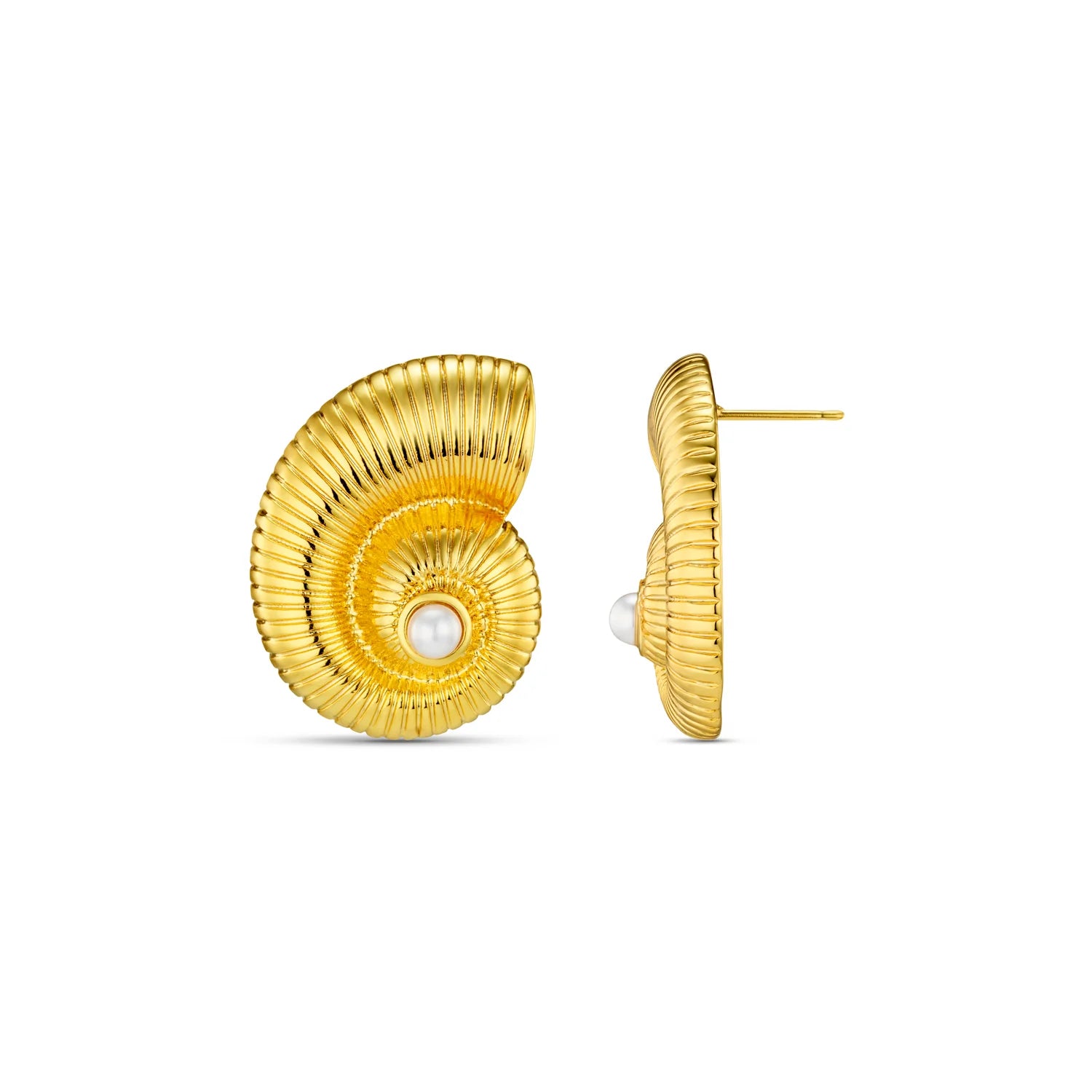 Textured Ammonite Statement Stud - Pale Gold