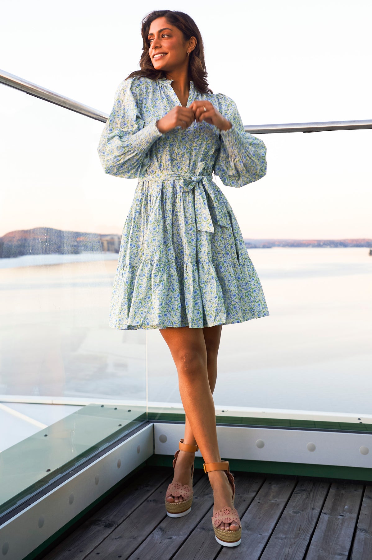 Delphine Poplin Print Dress - Blue Garden