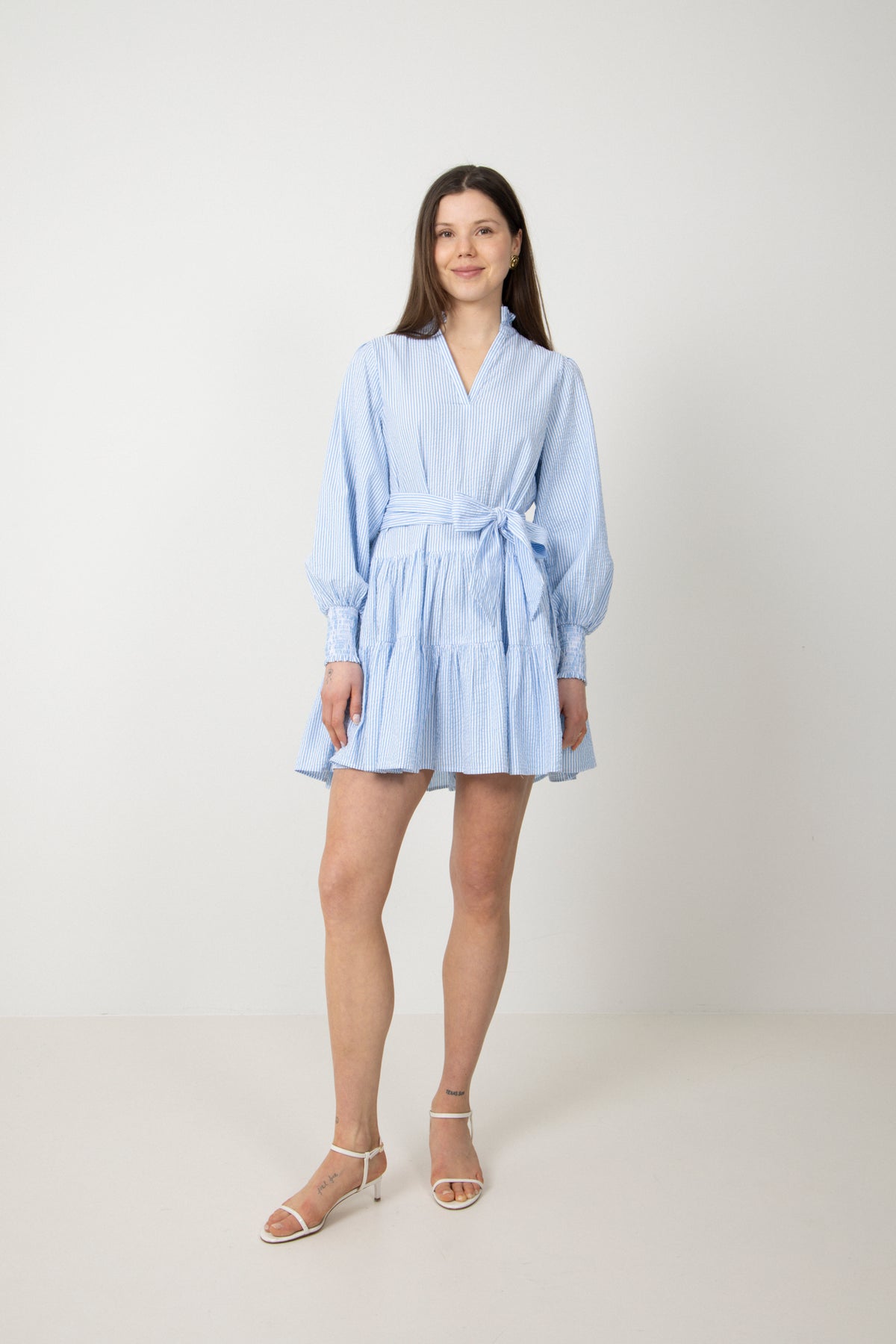 Delphine Stripe Dress - Blå randig