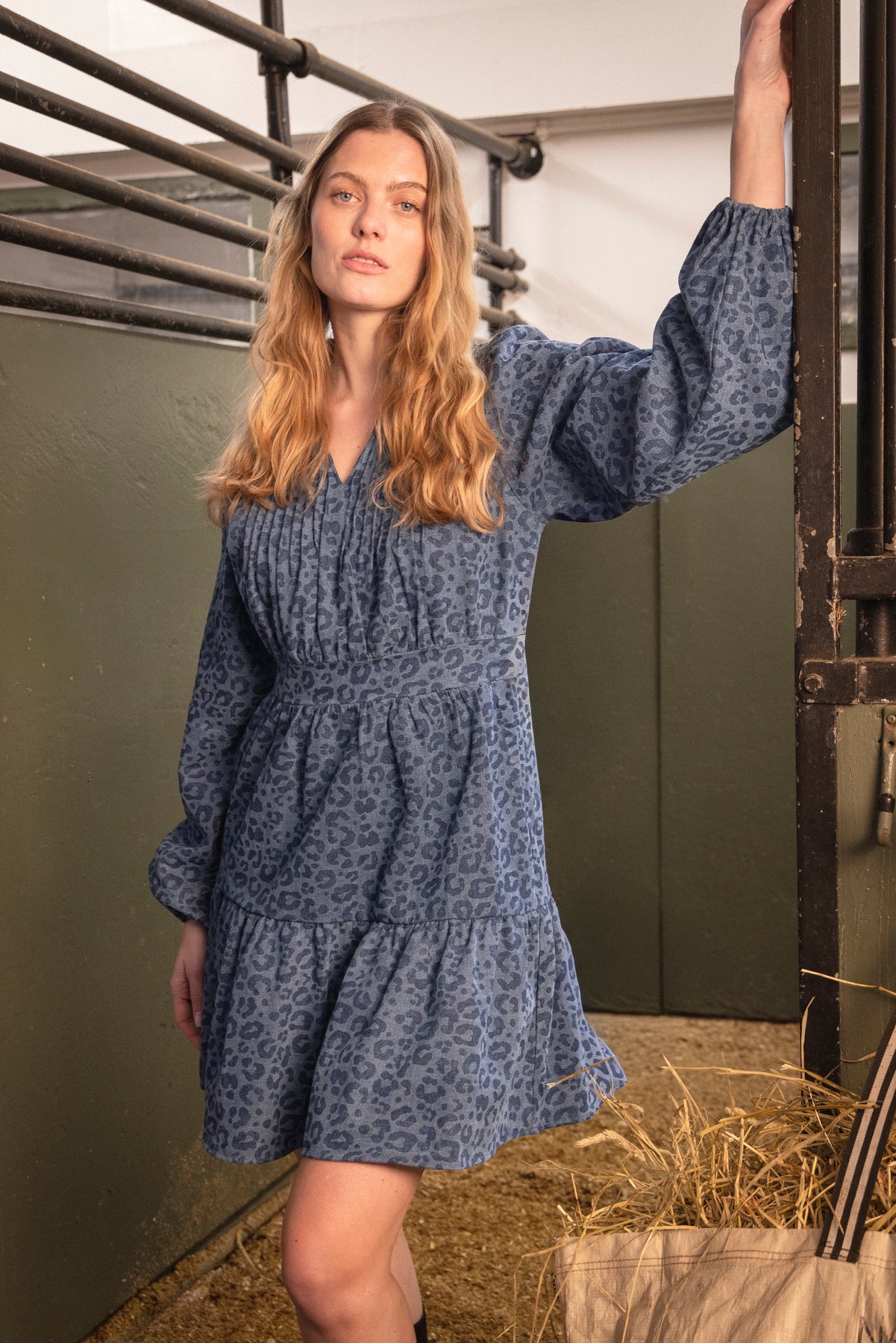 Evina Denim Leo Dress - Blue Leopard