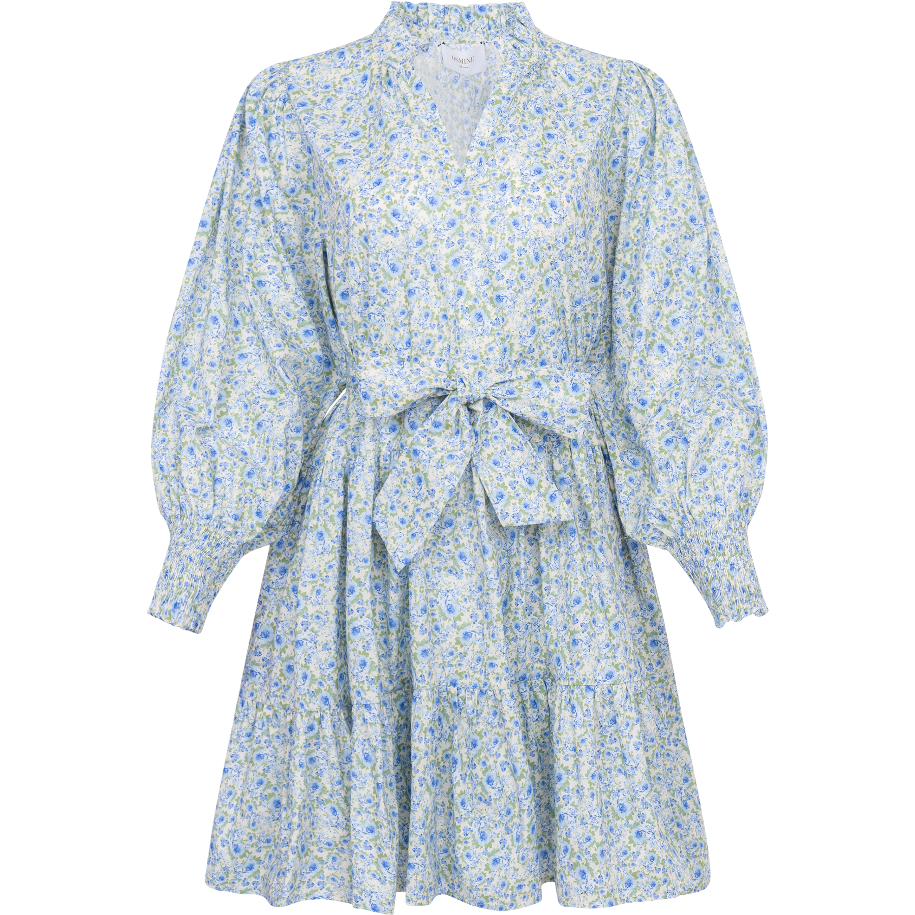 Delphine Poplin Print Dress - Blue Garden