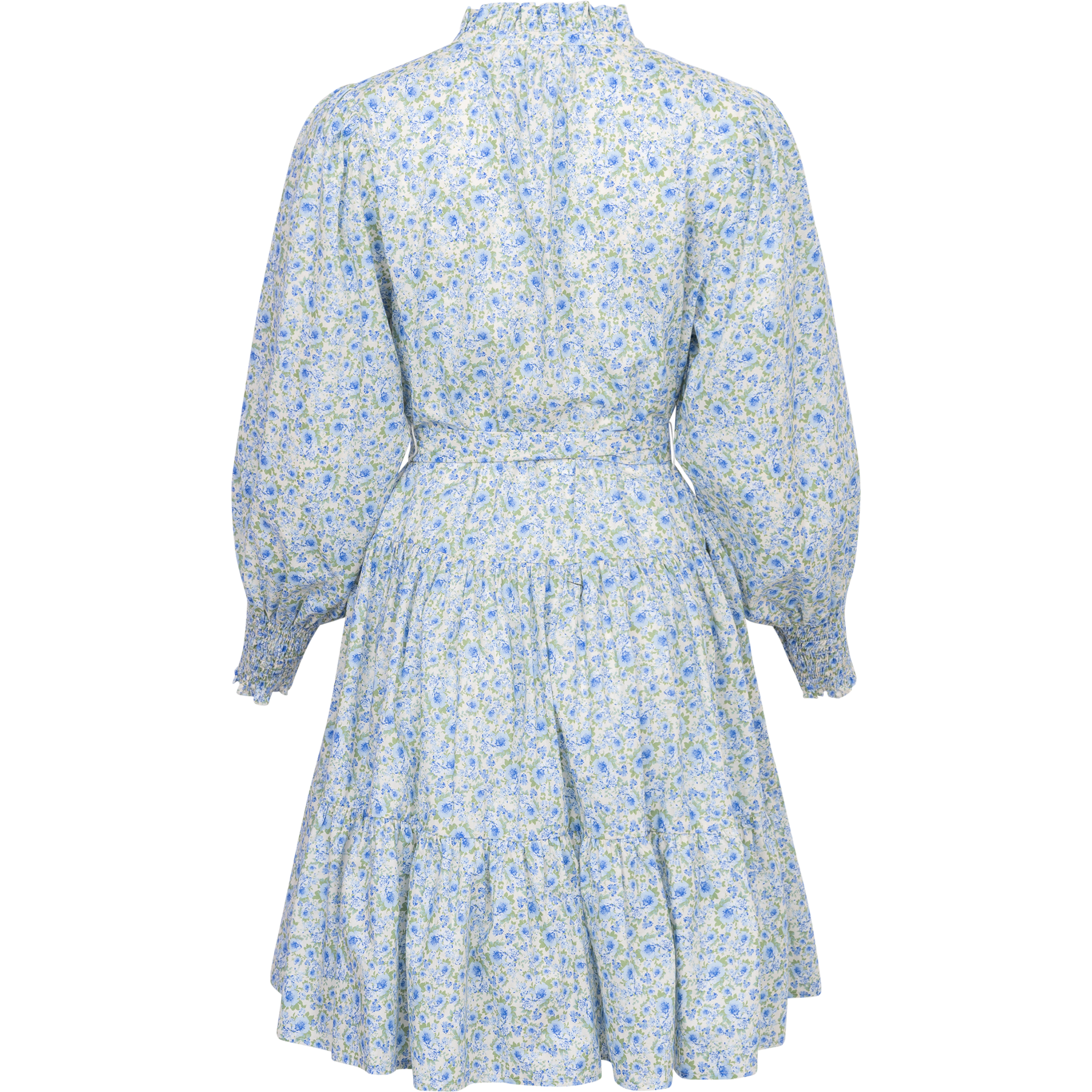 Delphine Poplin Print Dress - Blue Garden