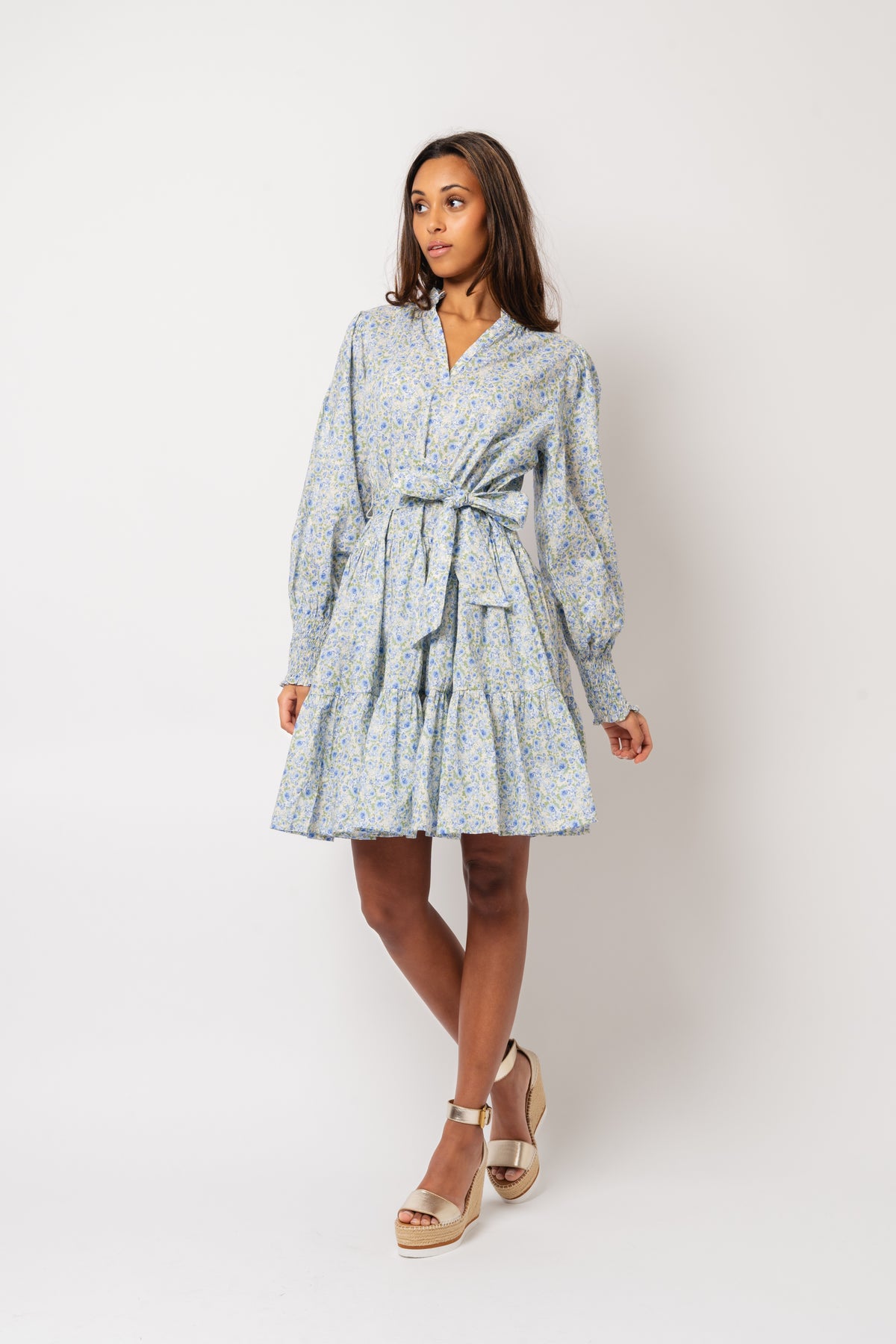 Delphine Poplin Print Dress - Blue Garden