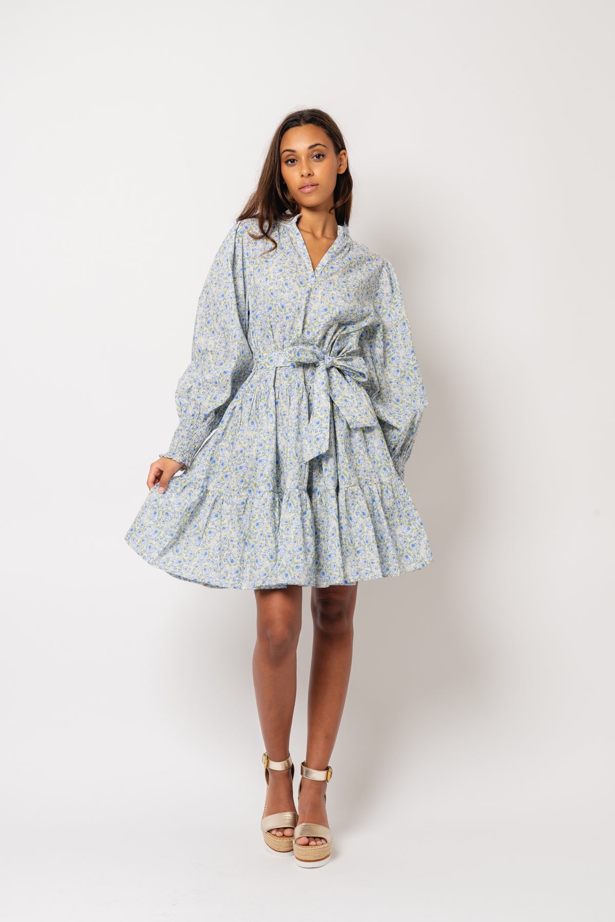 Delphine Poplin Print Dress - Blue Garden