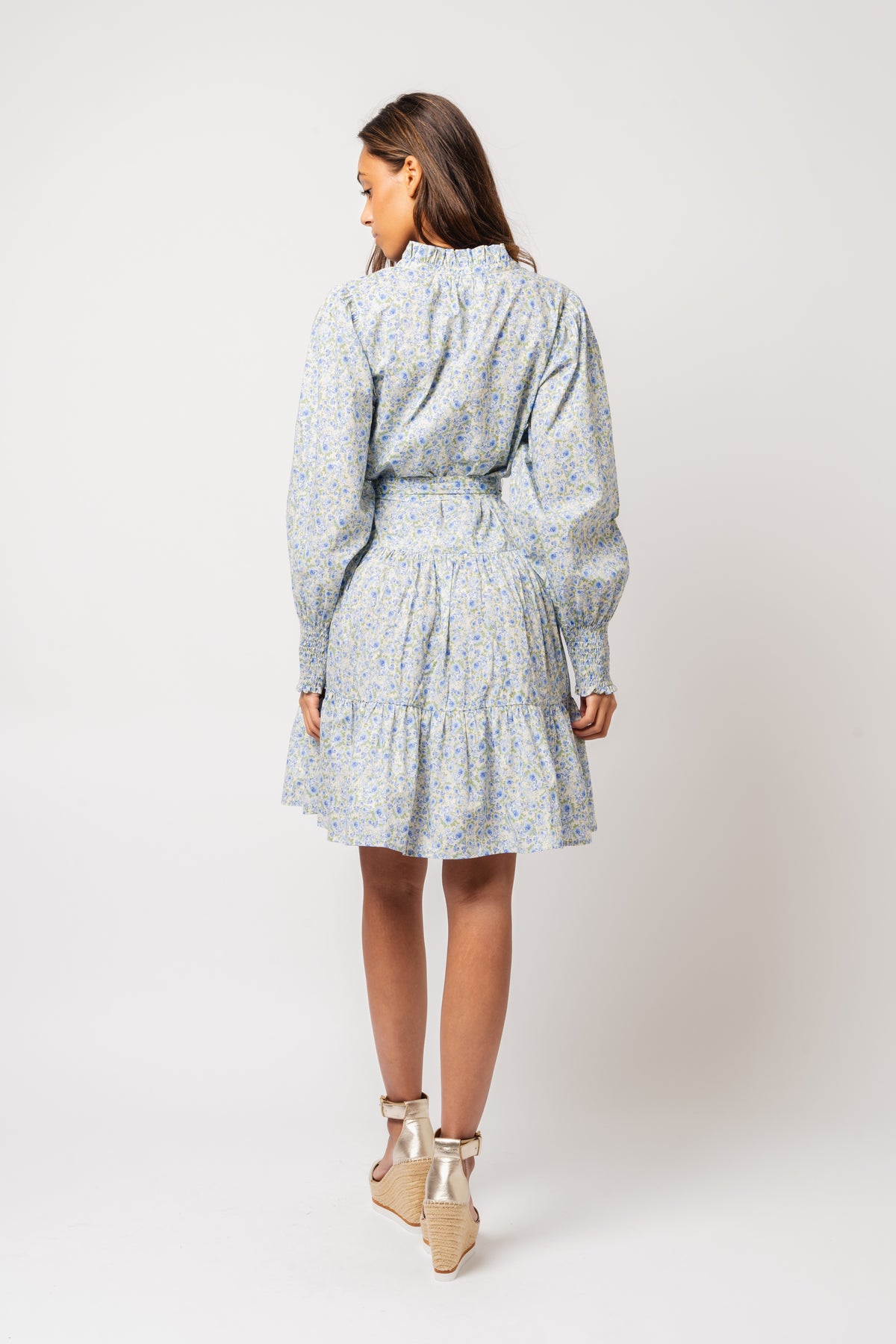 Delphine Poplin Print Dress - Blue Garden