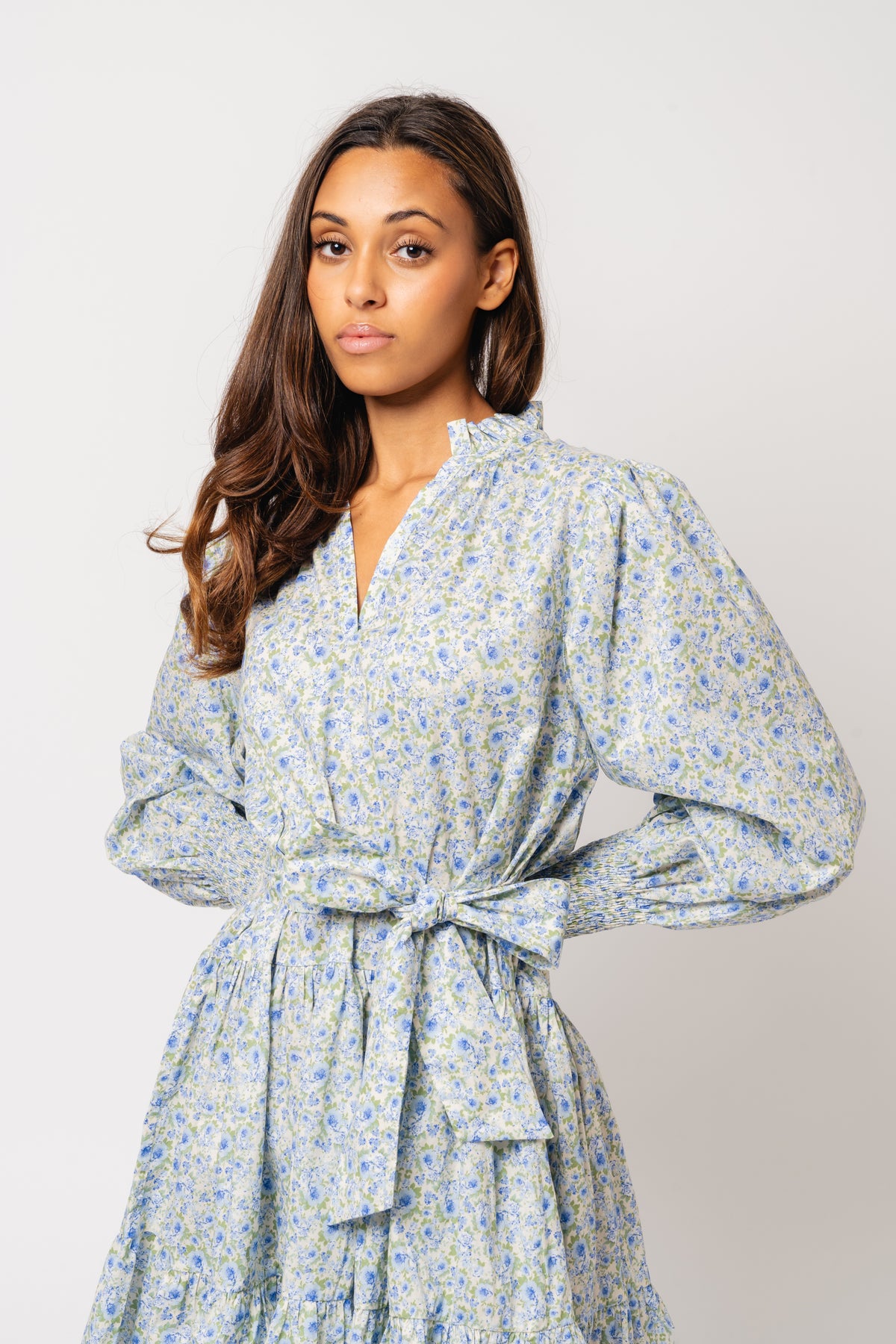 Delphine Poplin Print Dress - Blue Garden