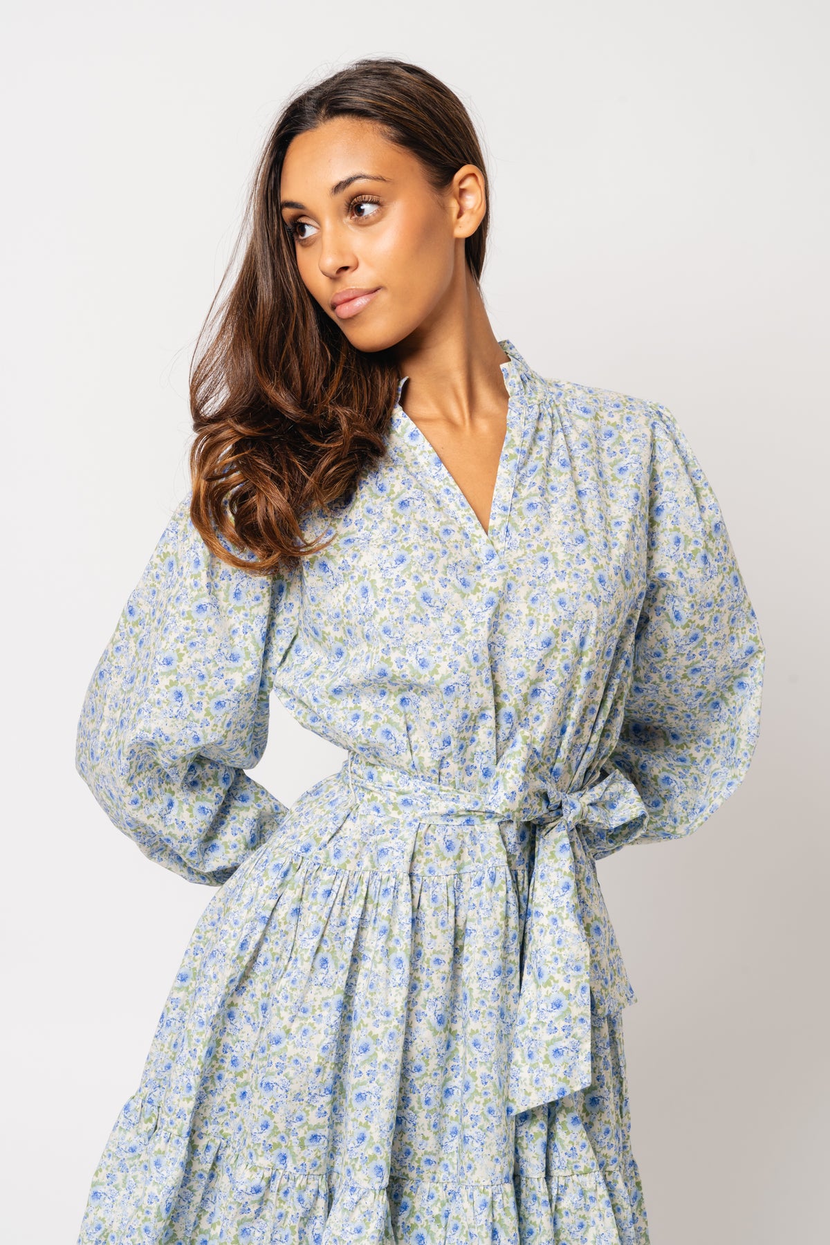 Delphine Poplin Print Dress - Blue Garden
