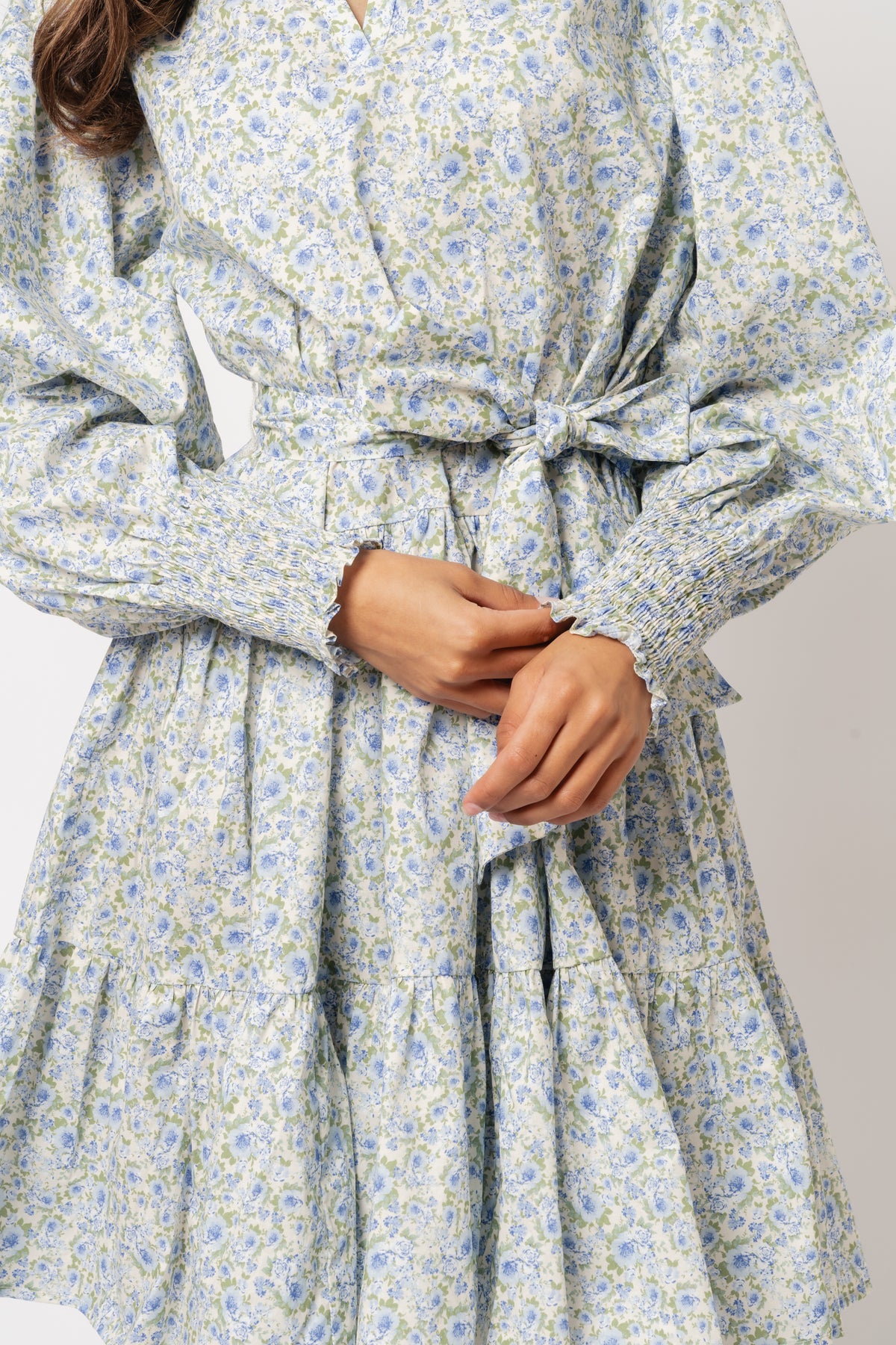 Delphine Poplin Print Dress - Blue Garden