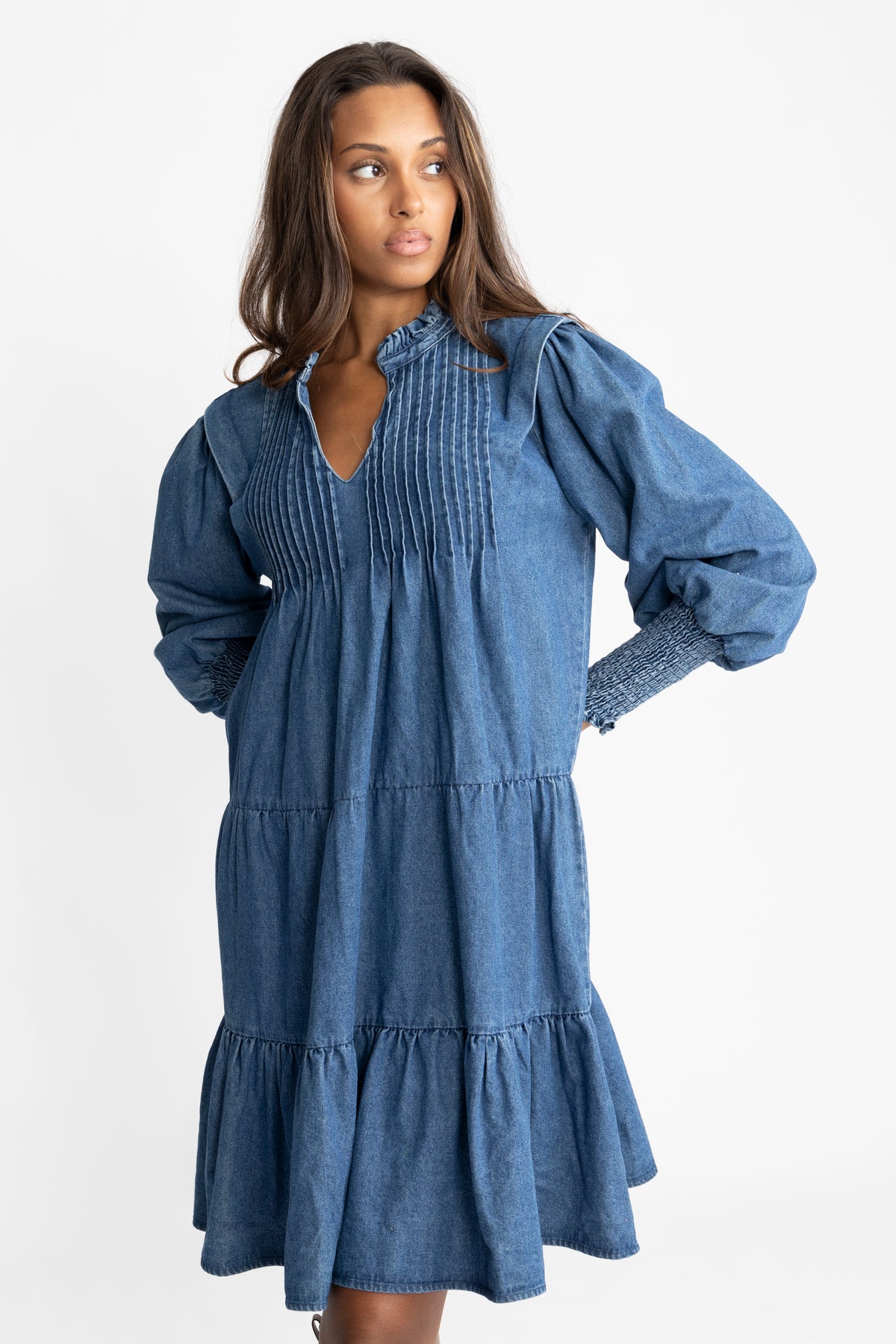 Embla Denim Dress - Blue