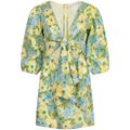 Cintare Mini Dress - Francis Floral