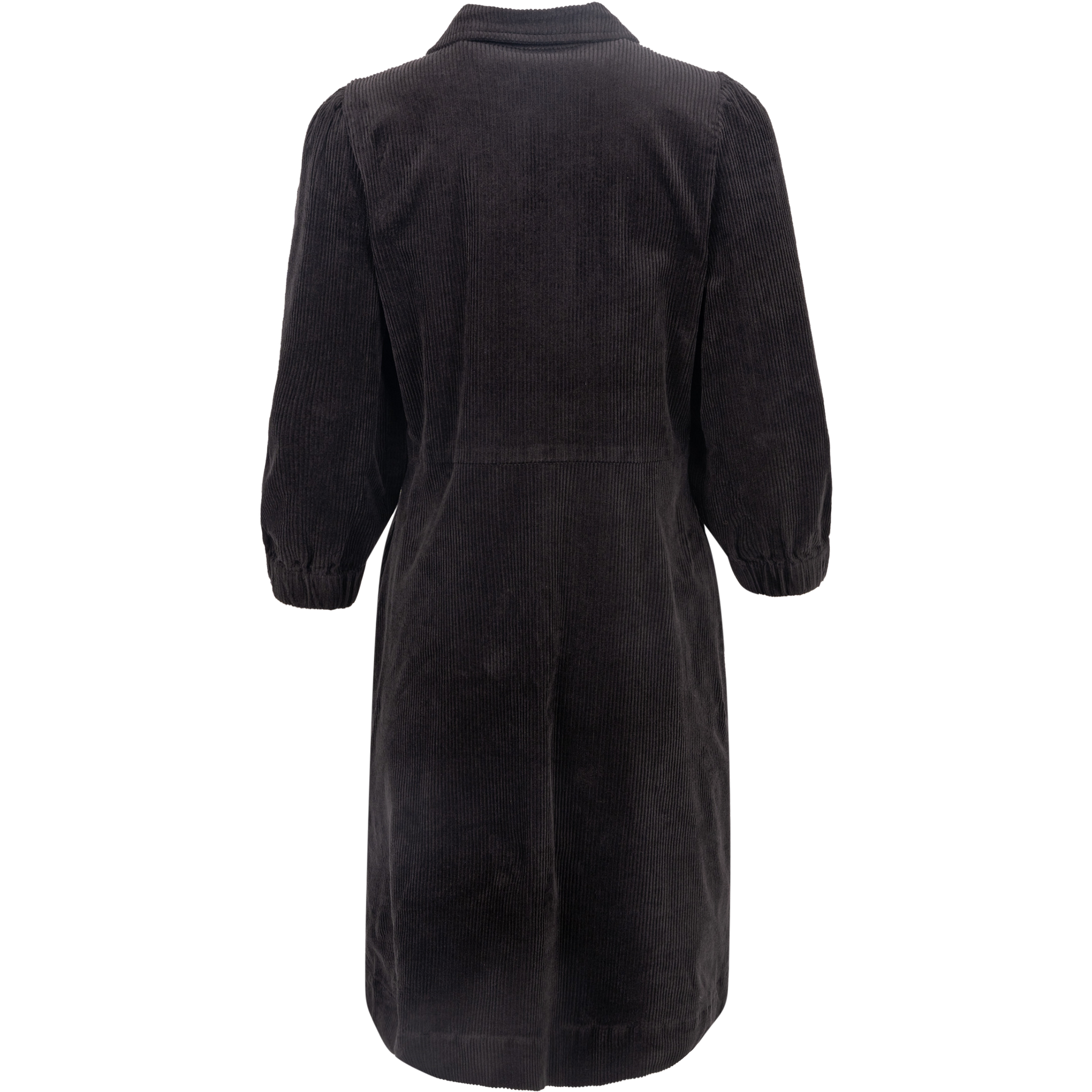EyvorsPW DR 116 - Black