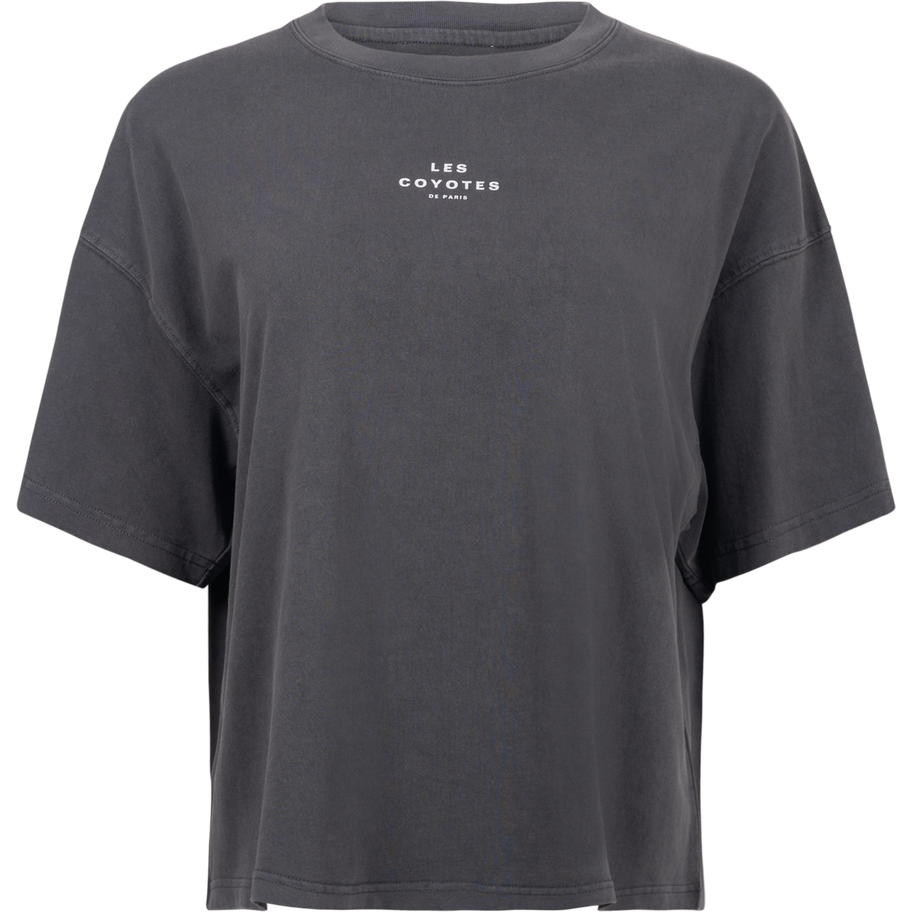 Logo Boxy-Fit Tee - Anthra
