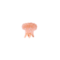 Pasha Hairclaw - Papaya