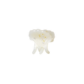 Pasha Hair Claw - Shell