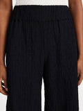 Campine - Black