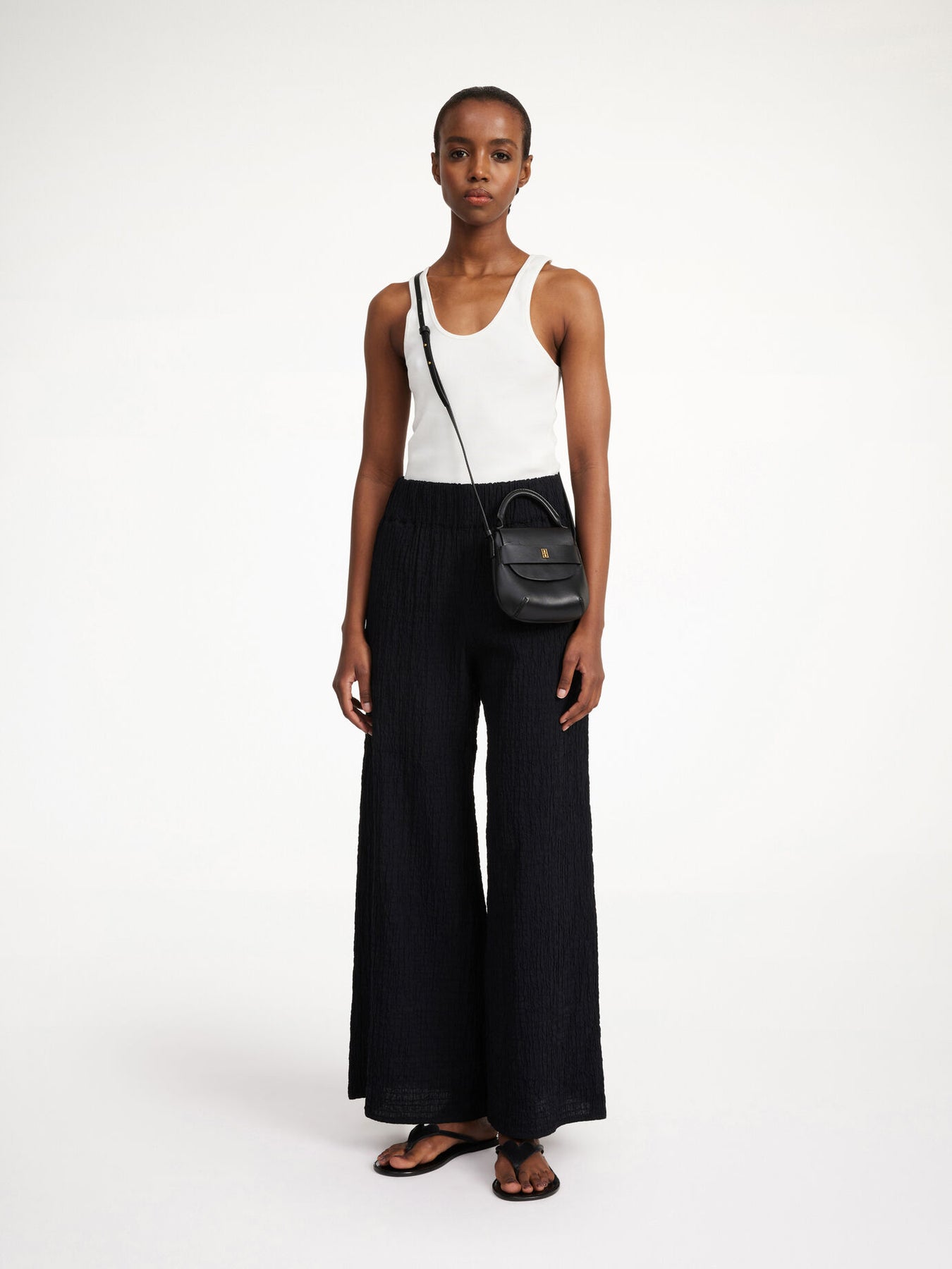 Campine - Black