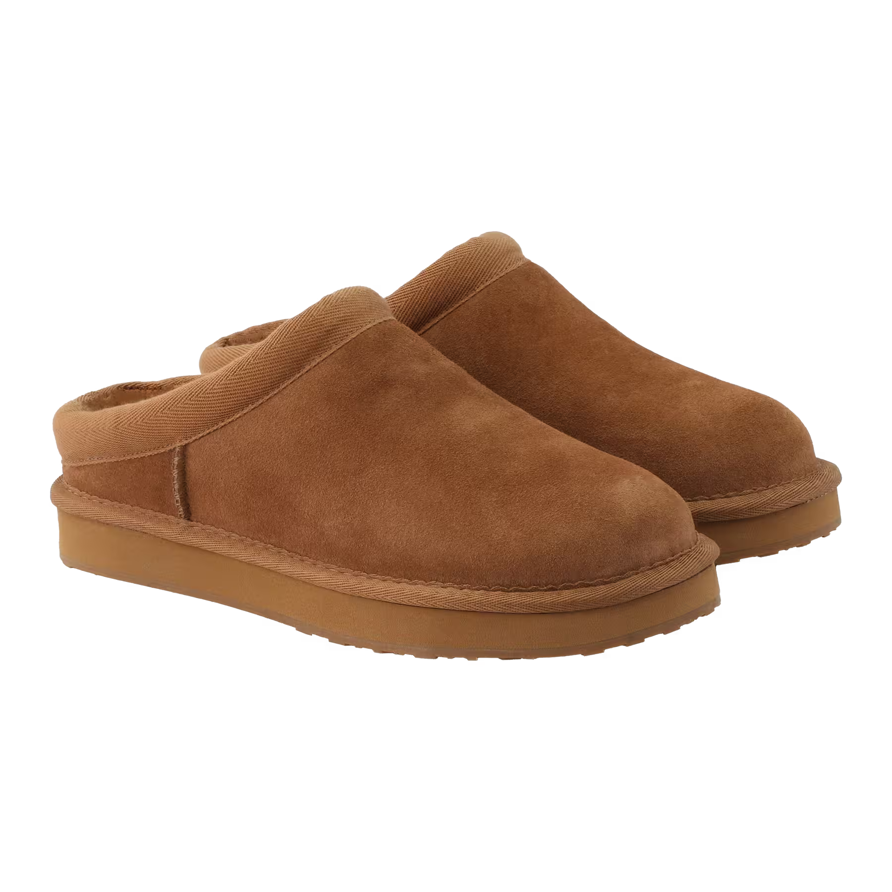 Cabot - Camel