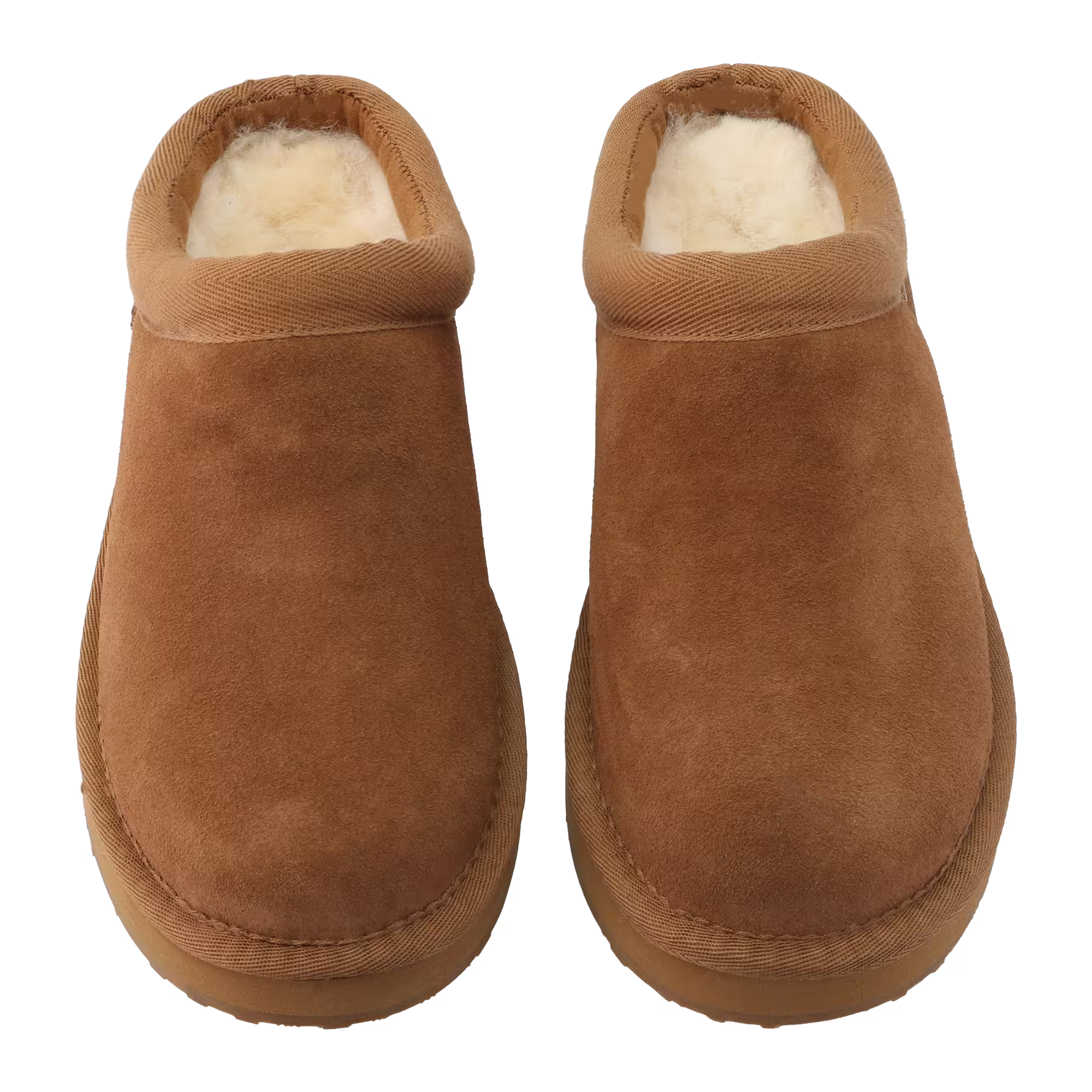 Cabot - Camel