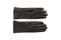 River Gloves - Black