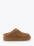 Cabot - Camel