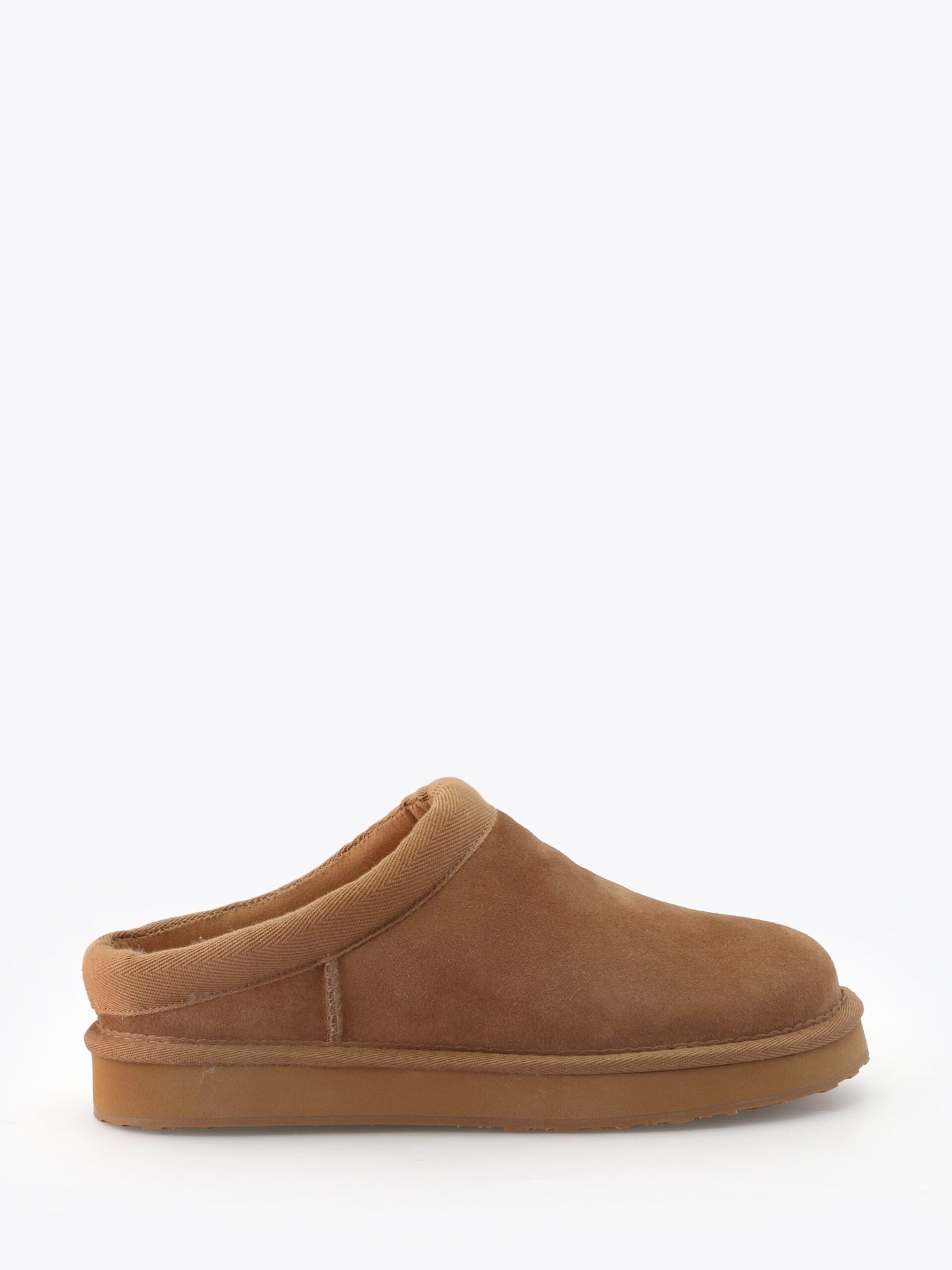Cabot - Camel