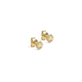 Mini Sunshine Studs - Daisy