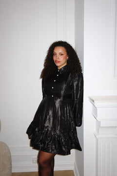 Mandy Organza Mini Dress - Black