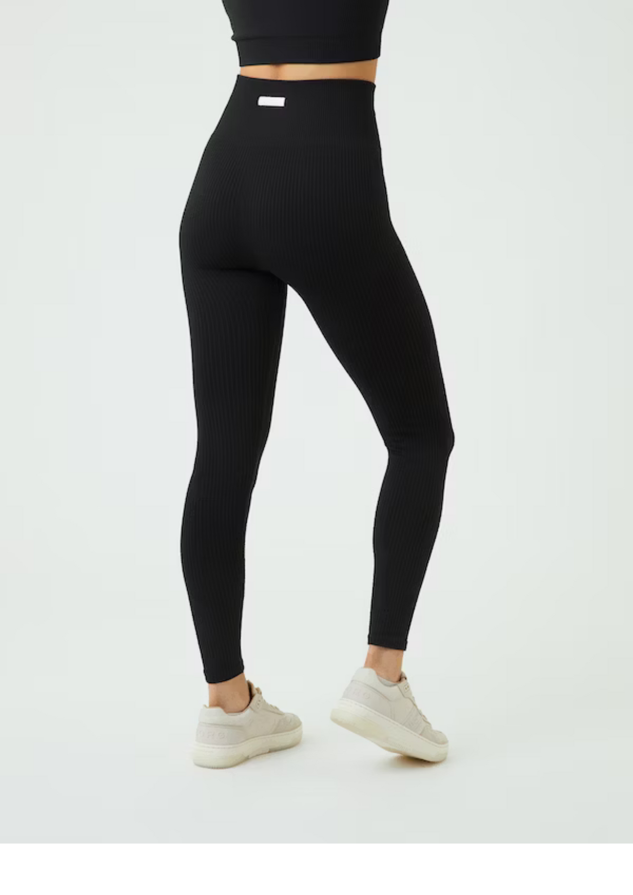 Studio Seamless Rib Tights - Black Beauty