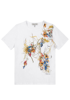 Marsilea - White