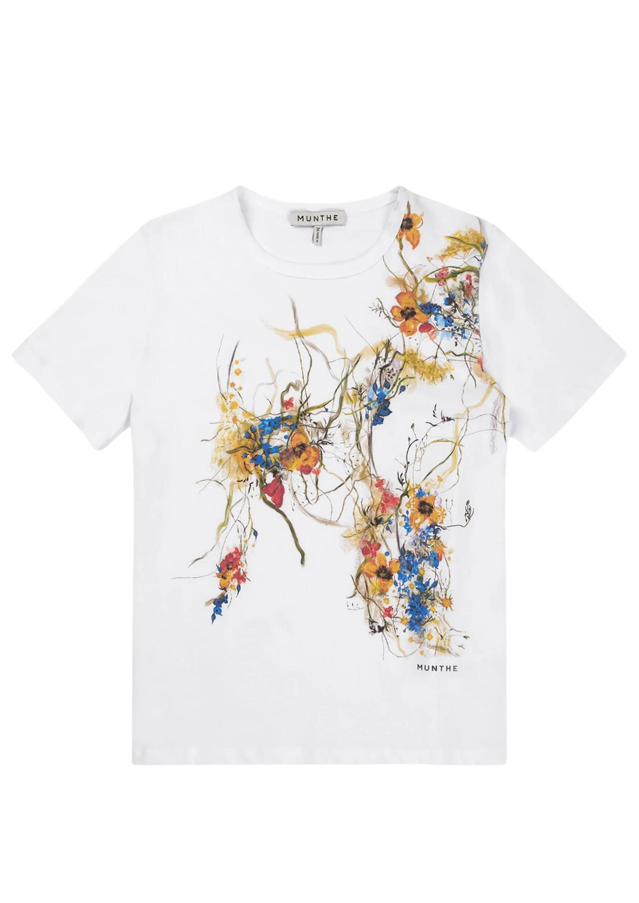 Marsilea - White