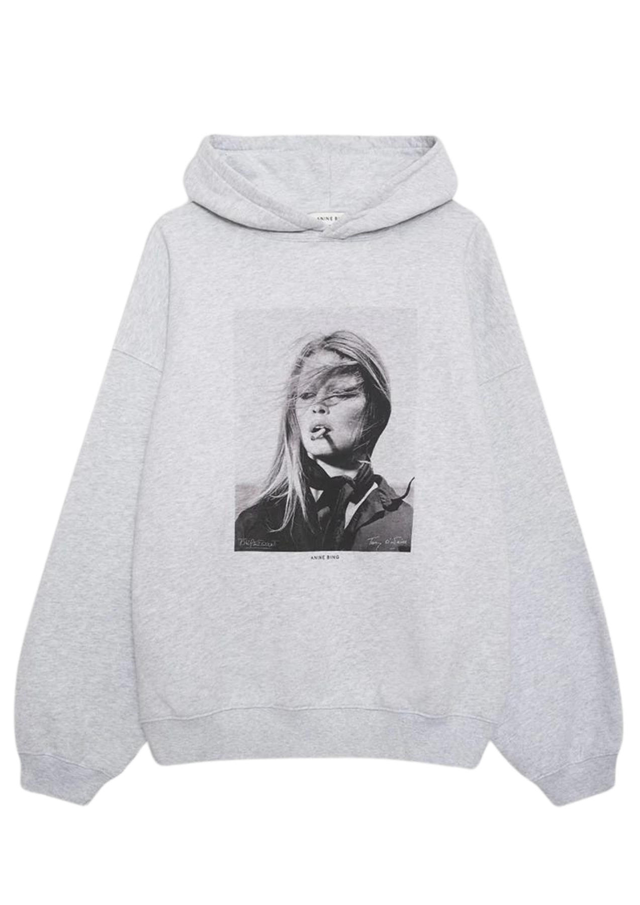 Harvey Sweatshirt AB X TO X Birgitte Bardot - Grey