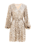 Bianca Sequin Dress - Champagne