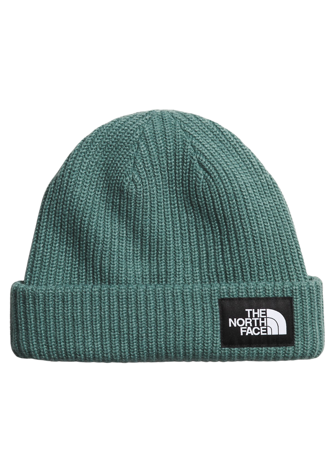 Salty Lined Beanie - Dark Sage