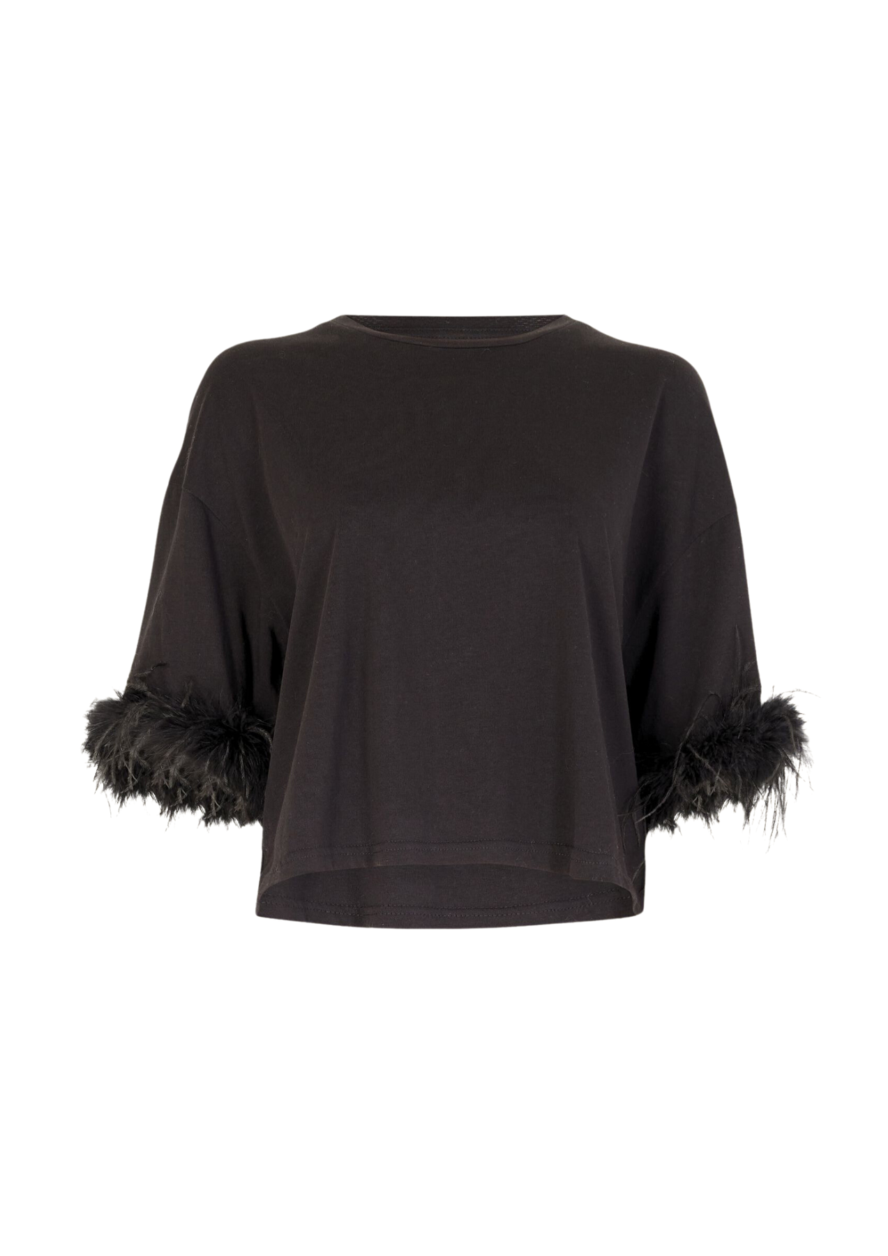 Swan - Black