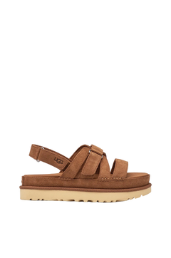 W Goldenstar Gleam - Chestnut