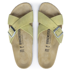 Siena Suede Leather Narrow - Shimmering Popcorn