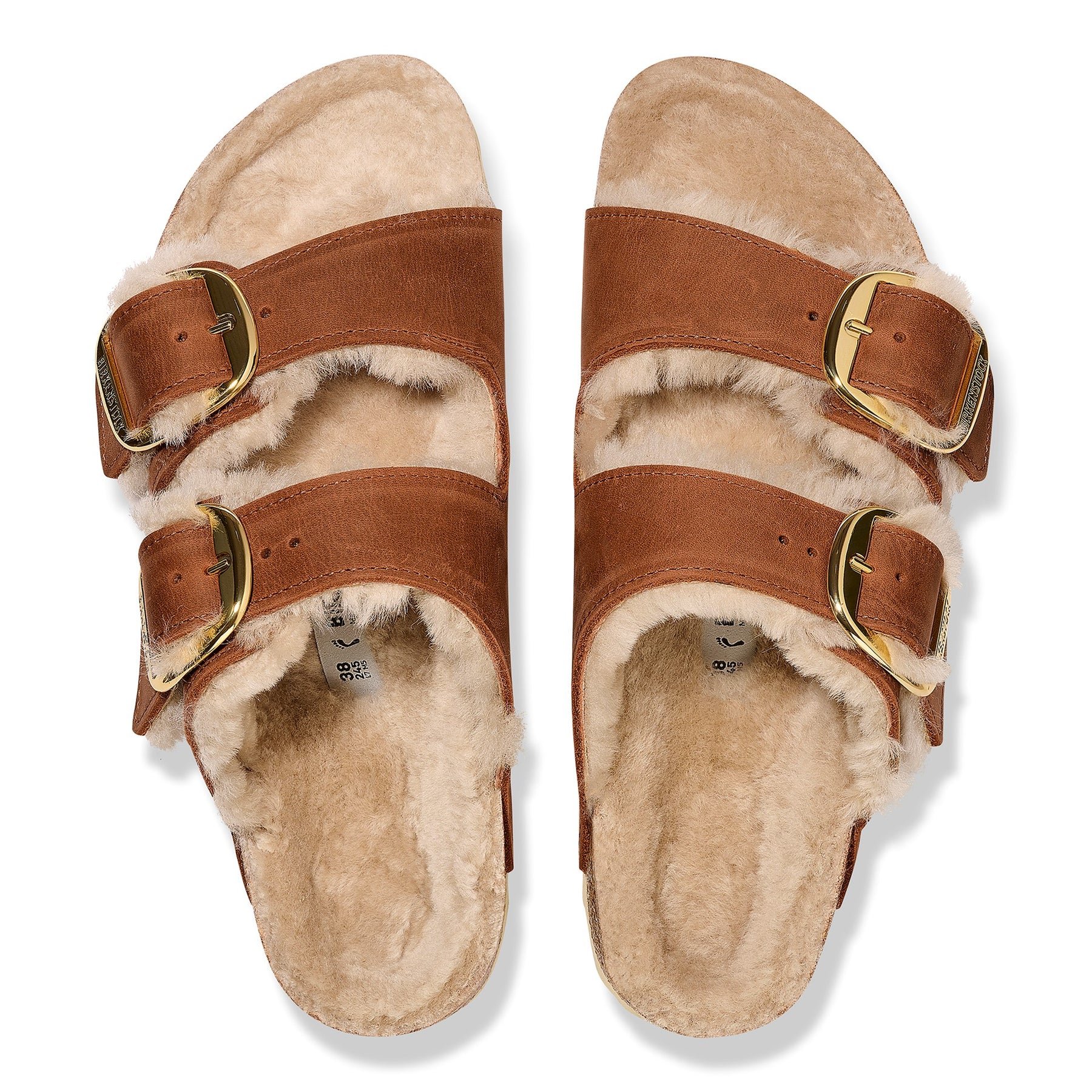 Arizona Big Buckle Oiled Leather Narrow - Cognac