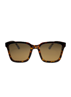 Fyn - Tort/Brown