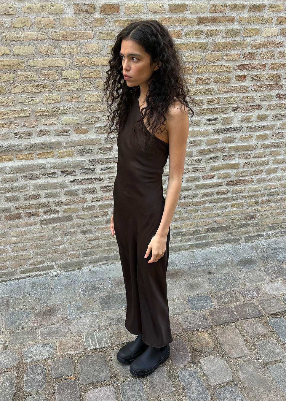Narcissa Dress - Seal Brown