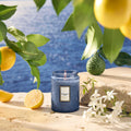 Small Jar Candle - Mediterranean Lemon