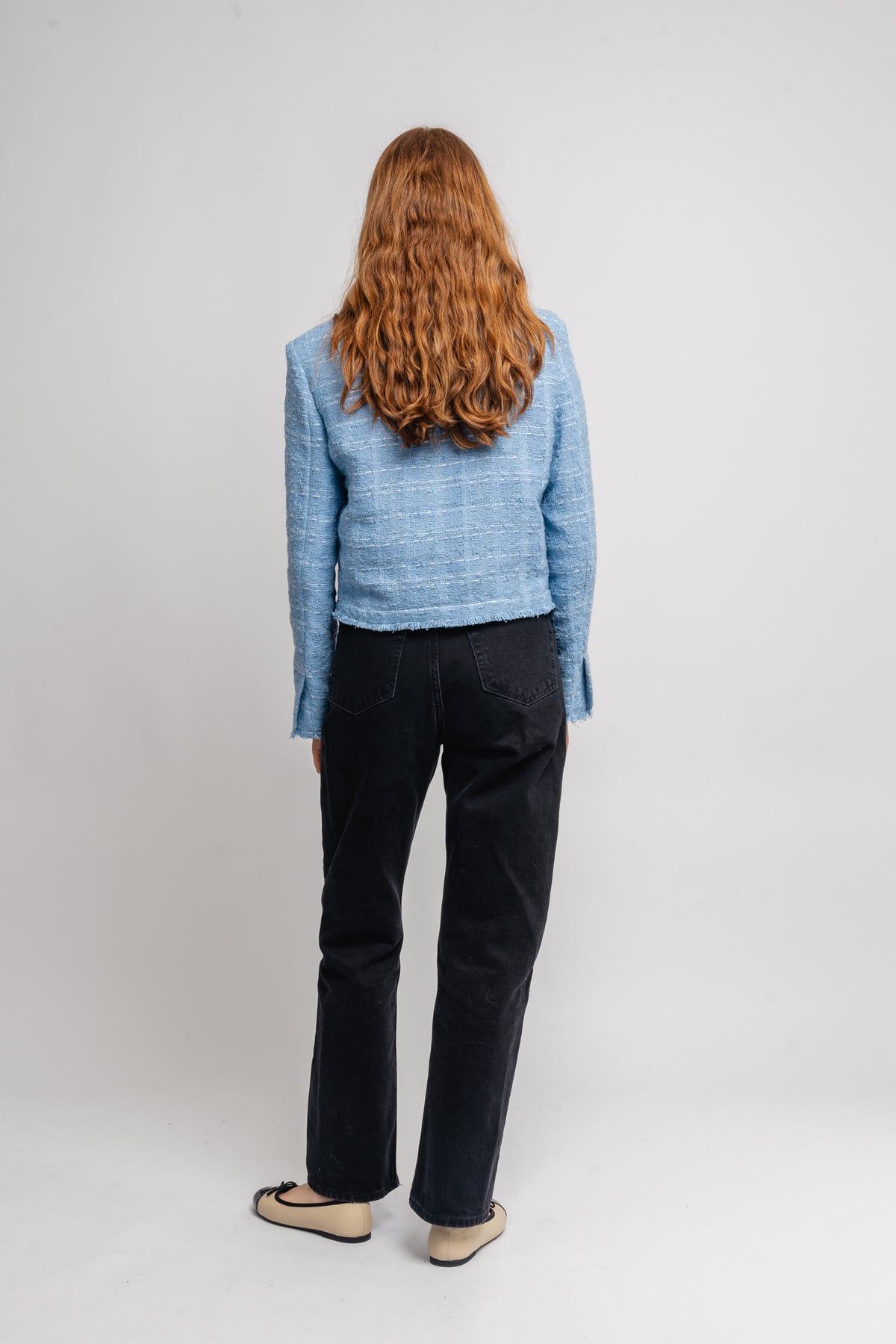 Zamia - Blue
